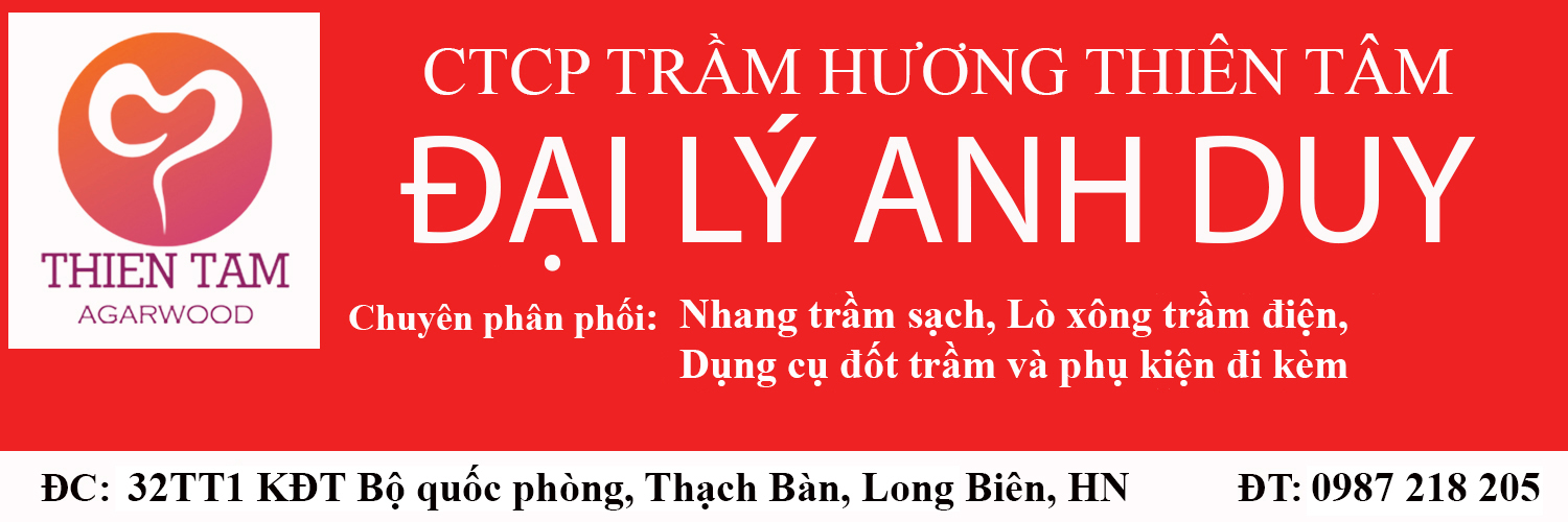 Dại_Lý_Anh_Duy_1
